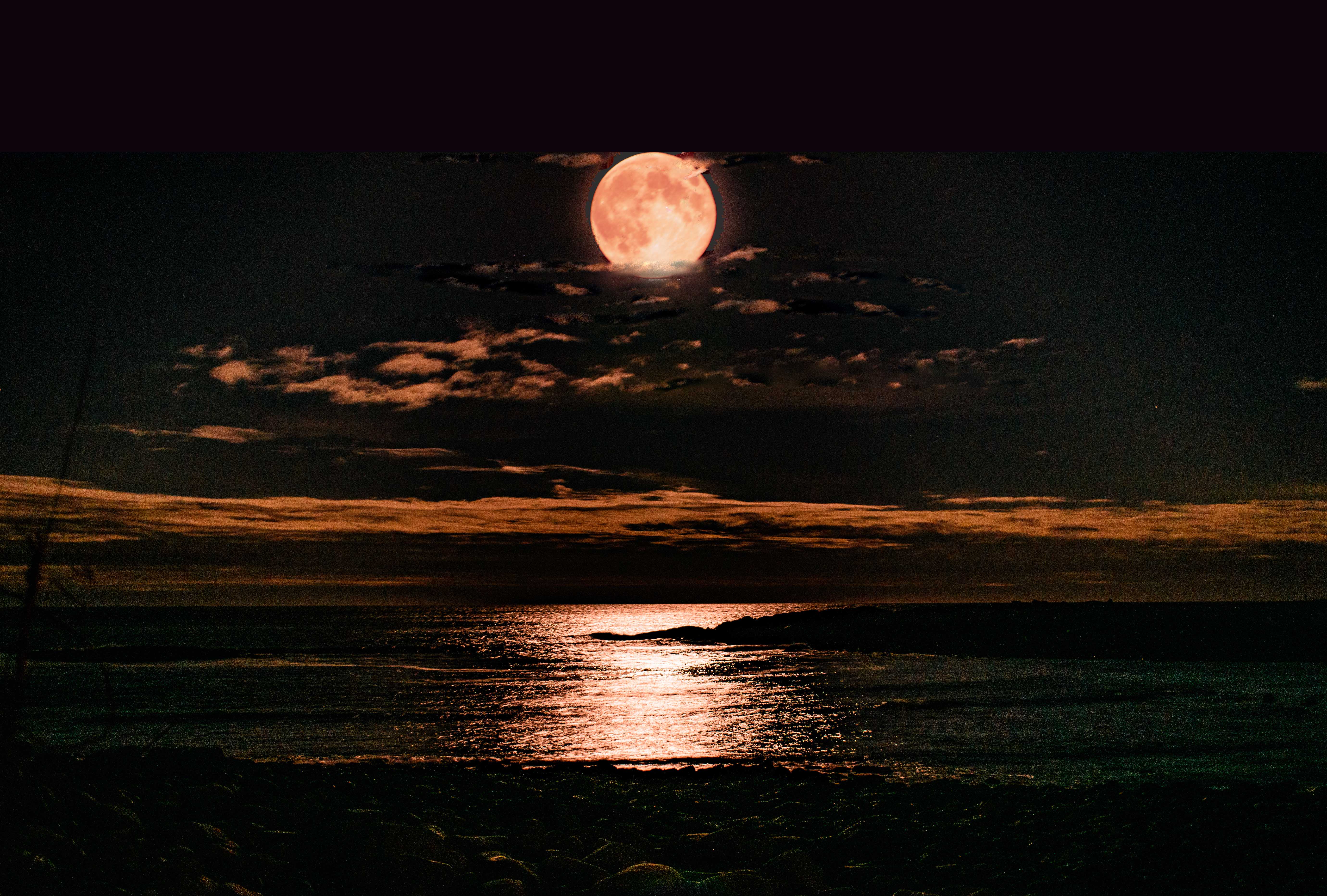 Beaver Moon rising over LobLolly Cove with moonlight reflecting on water